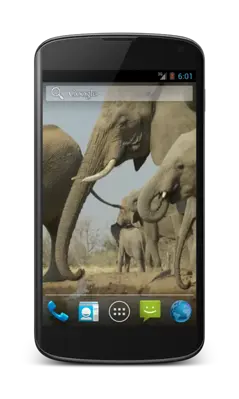 Elephant Video Wallpaper android App screenshot 0