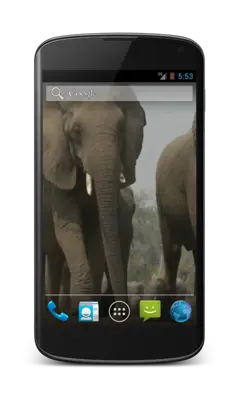 Elephant Video Wallpaper android App screenshot 1